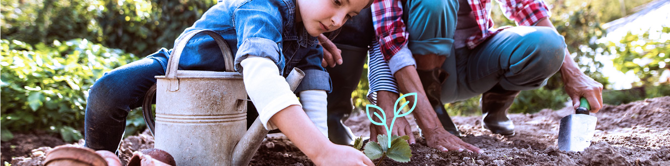 Two people planting in a garden